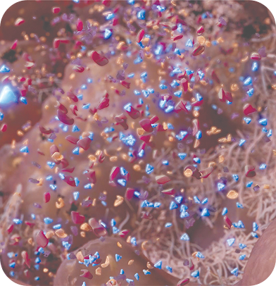 Micrograph showing cells undergoing regulated cell death